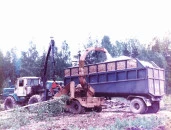 Продажа акций АО «ЦНИИМЭ» института  инноваций  в лесной отрасли